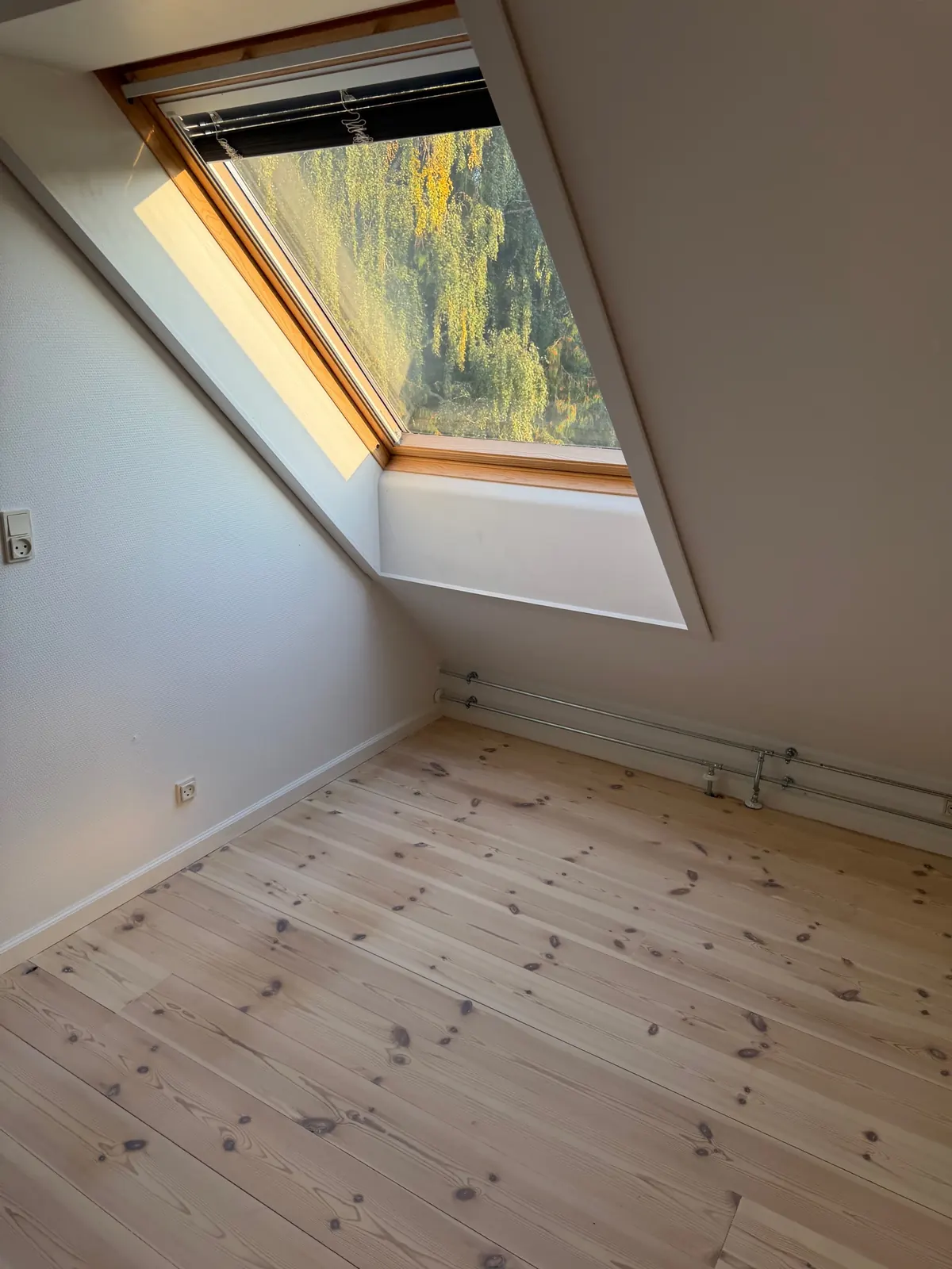 Værelse på 1. sal med ovenlysvindue og istandsat plankegulv